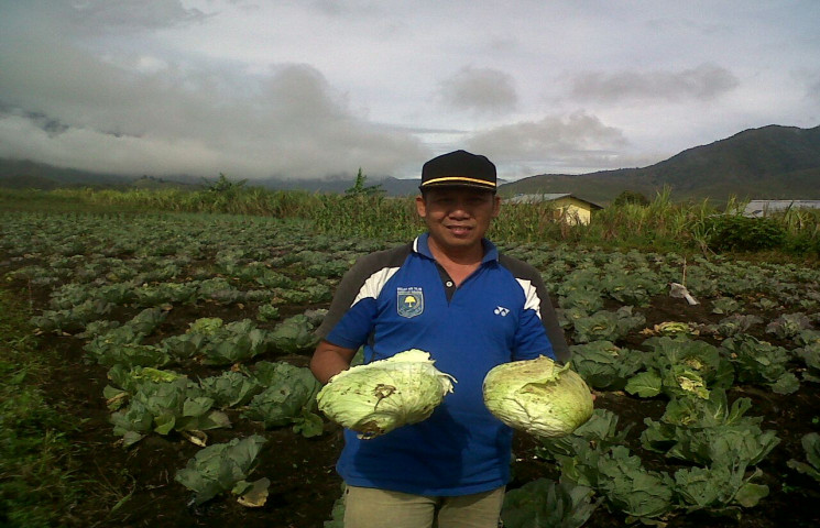 DPTH Bantah Hasil Panen Sayur 25 Hektar di Dogiyai Penipuan Publik